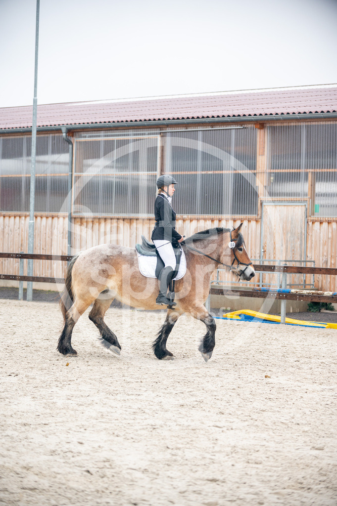 DSC_5836 | sattelsport - Realisiert mit Pictrs.com