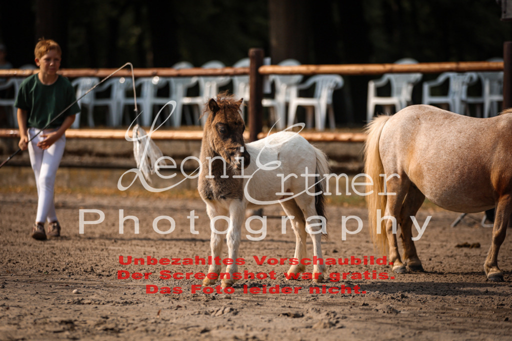 1.Fr00030 | Leoni Ertmer Photography - Realisiert mit Pictrs.com
