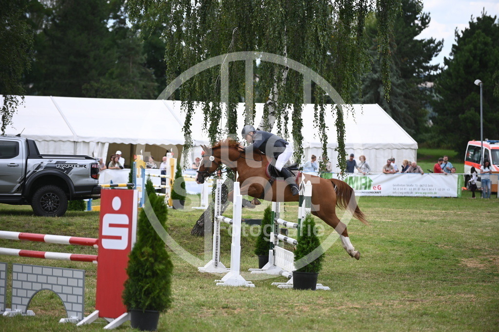 DSC_7172 | sattelsport - Realisiert mit Pictrs.com