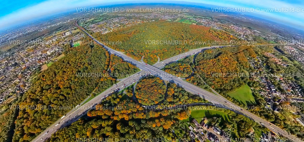 Oberhausen20221006_1BAB-Kreuz_A3_A2-b | Luftbild, Autobahnkreuz Oberhausen, Autobahn A2 und Autobahn A3, Sterkrader Wald in Herbstfarben, Fisheye Aufnahme, Fischaugen Aufnahme, 360 Grad Aufnahme, Alsfeld, Oberhausen, Fisheyeaufnahme, Ruhrgebiet, Nordrhein-Westfalen, Deutschland