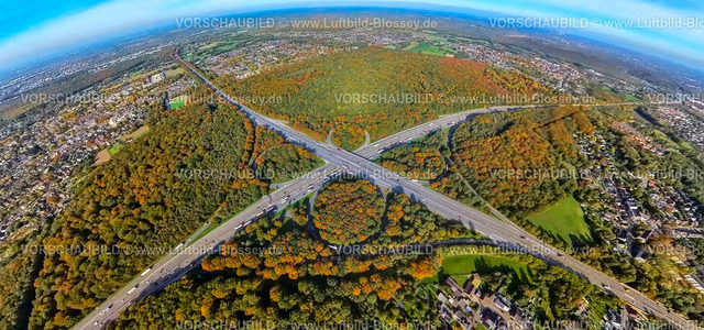 Oberhausen20221006_1BAB-Kreuz_A3_A2-b | Luftbild, Autobahnkreuz Oberhausen, Autobahn A2 und Autobahn A3, Sterkrader Wald in Herbstfarben, Fisheye Aufnahme, Fischaugen Aufnahme, 360 Grad Aufnahme, Alsfeld, Oberhausen, Fisheyeaufnahme, Ruhrgebiet, Nordrhein-Westfalen, Deutschland