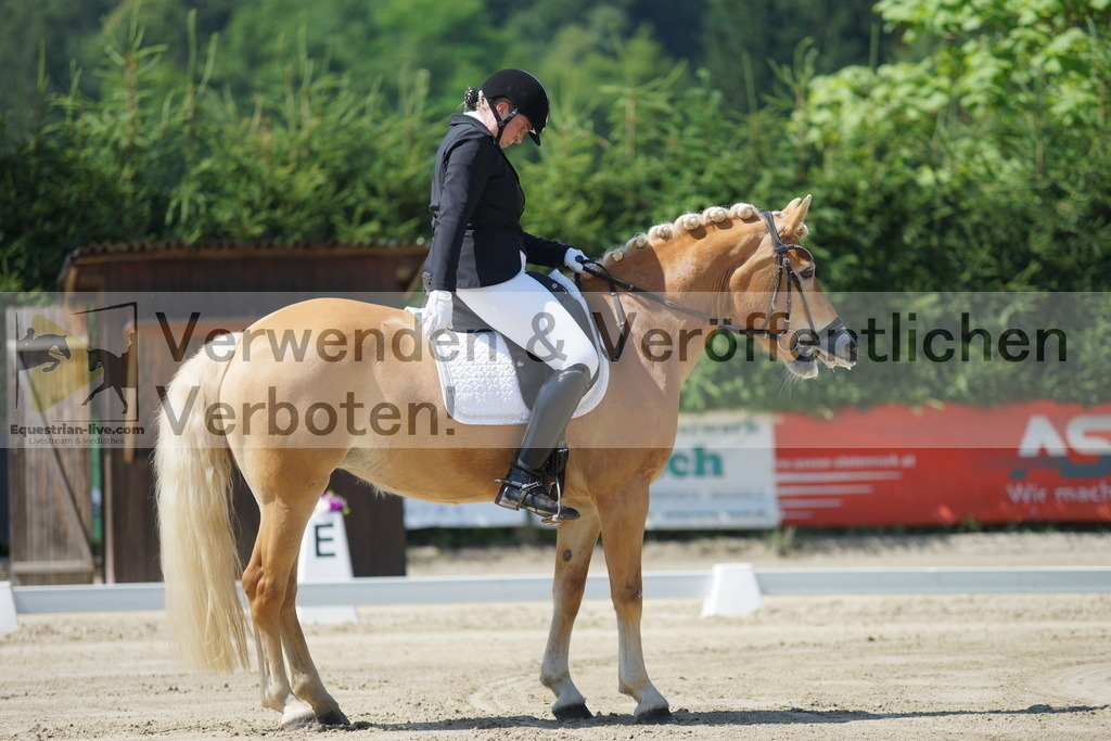 DSC02210 | equestrian-live-com