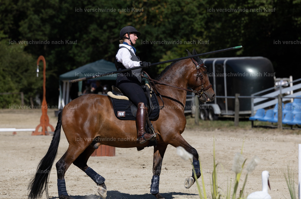 WE_Trail_80_KerstinBernhardt-7 | working equitationturnier fotograf videograf stoibphotography marixx film working equitation deutschland reitsport turnierfotografie eventfotografie equestrian events