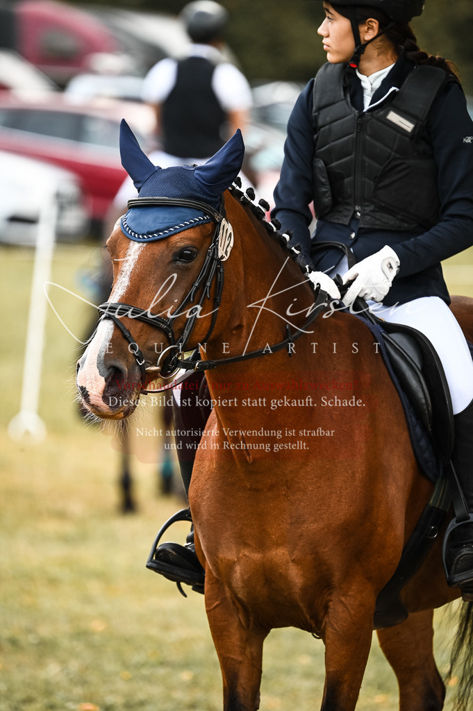 DSC_5750 | Pferde- und Turnierfotografie in Westsachsen. Pferdeportraits, Auftragszeichnungen und intuitive Kunst.