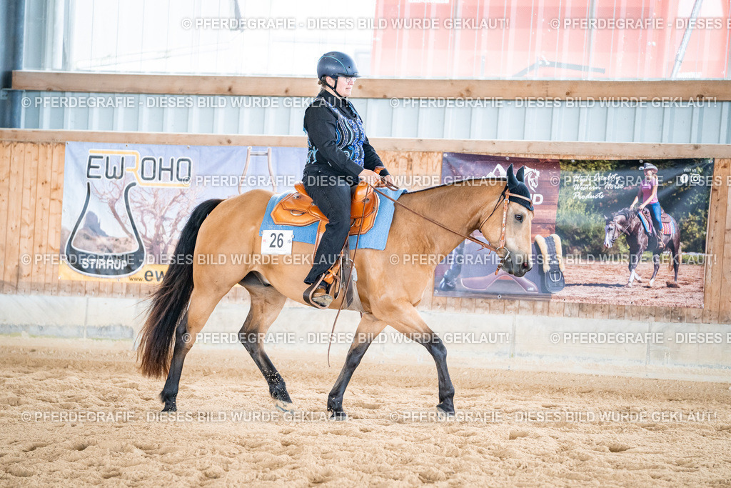 DSC02337 | Pferdegrafie