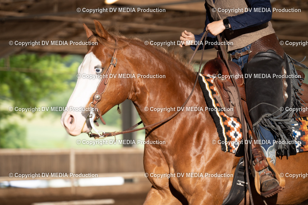 Erbach Tag 2-617 | dv-media-shop - Realisiert mit Pictrs.com