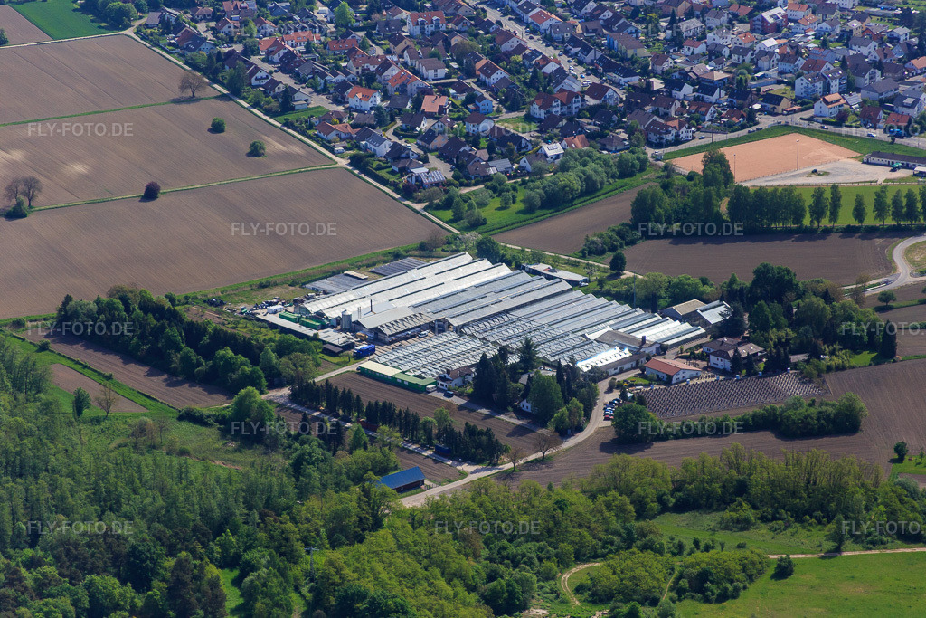 Luftbild: Geranien Endisch in Hagenbach im Bundesland Rheinland-Pfalz in Deutschland. Foto: IMG_078382.jpg vom 08.05.2015 durch Werner Riehm/FLY-FOTO.de
