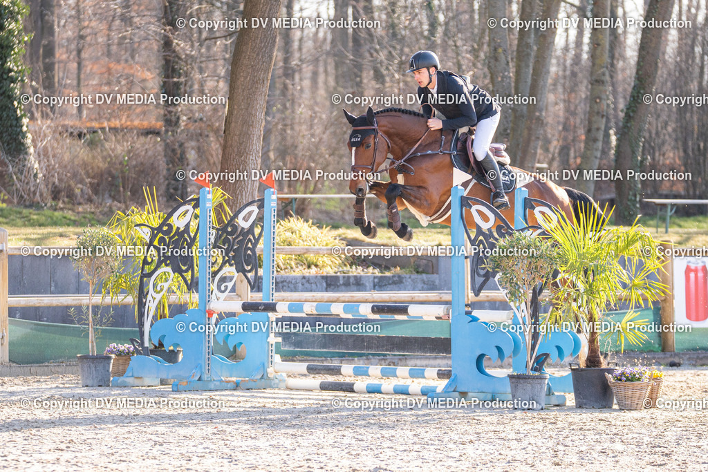 Kranichstein Tag 1-011 | dv-media-shop - Realisiert mit Pictrs.com