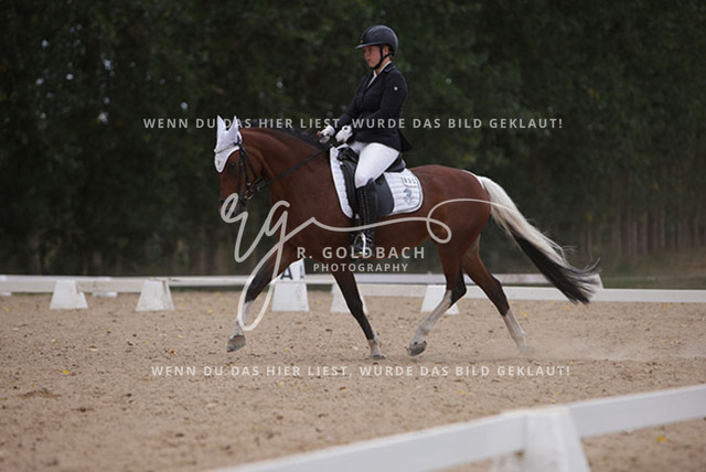 1J2A0862Charlotte Fehr_ Ikon 16_ Kn061_ Wöpkendorf_ Annalena Beier_ Quinn M_ Kn095 | Foto- und Videografie für alles rund ums Pferd. Hochwertige Bilder und Videos vom Spring- und Dressurreiten, Voltigieren & mehr. Jetzt aktuelle Veranstaltungen und Preise im Shop ansehen. - Realisiert mit Pictrs.com