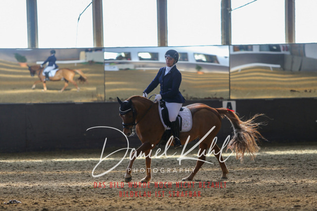 IMG_2617 | Turniersportfotografie; Pferdefotografie; Dressurfotografie