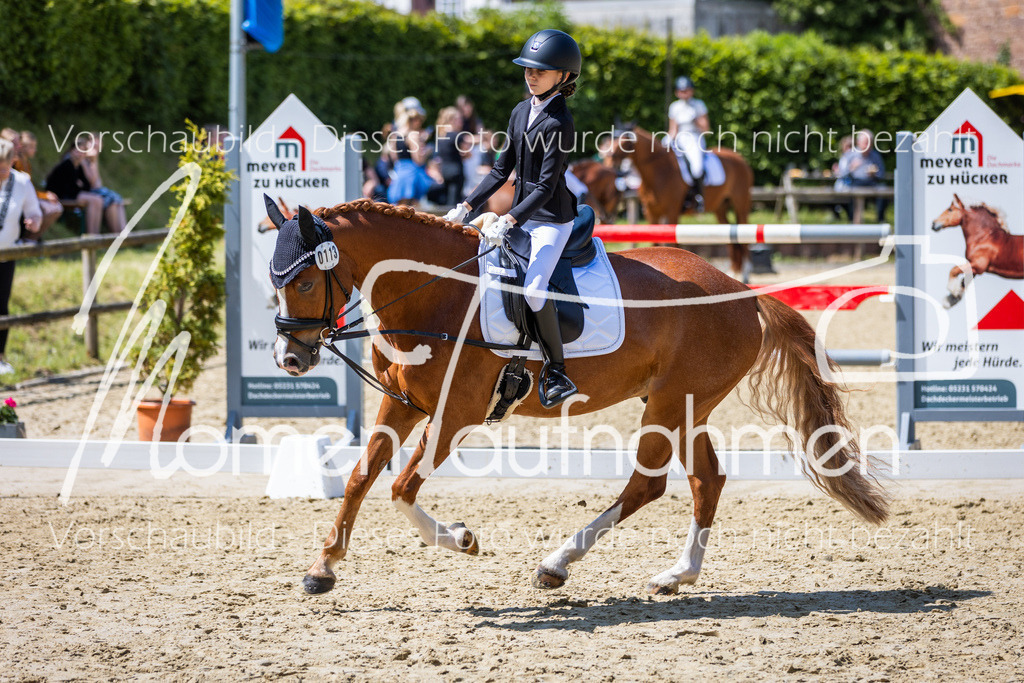 Donop24-RWB-049 | MomenTaufnahmen Pferdesportfotos