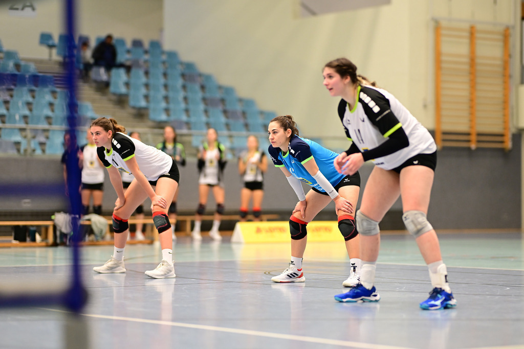 Volleyball I Frauen I Saison 2024-2025 I Regionalliga Nord I VT Hamburg - VSG Lübeck | Der Sportfotograf. - Realisiert mit Pictrs.com