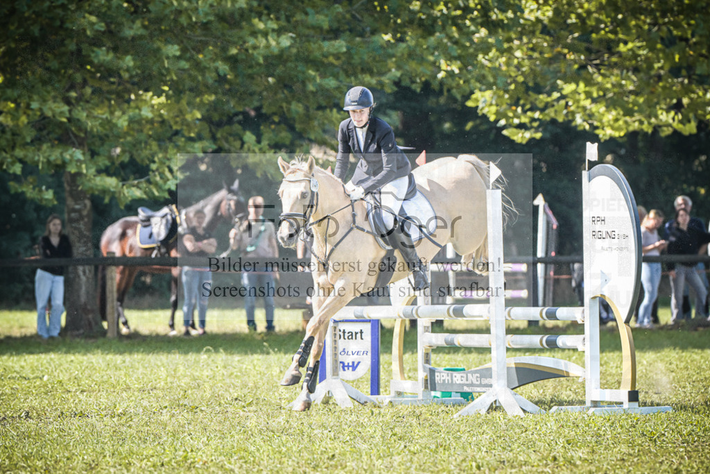 DOS_1103 | Entdecke hochwertige Reitturnierfotos von Foto Oger. Professionell, emotional und authentisch – jetzt Lieblingsmomente im Shop bestellen.Deutschlandweite Turnierfotografie. - Realisiert mit Pictrs.com