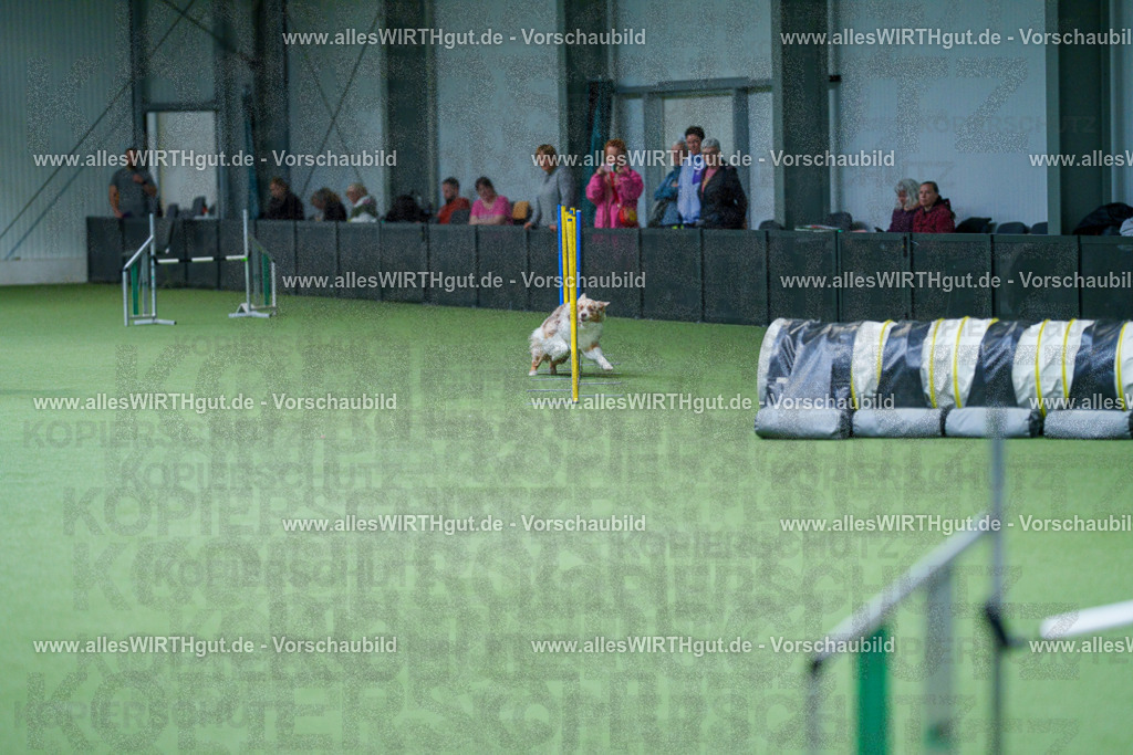@allesWIRTHgut_Tierfotografie - www.allesWIRTHgut.de - 2604251051-7R500344 | Professionelle Tierfotografie in Mönchengladbach von Daniel Wirth (allesWIRTHgut). Liebevolle & natürliche Bilder von Hunden & Katzen für unvergessliche Erinnerungen.