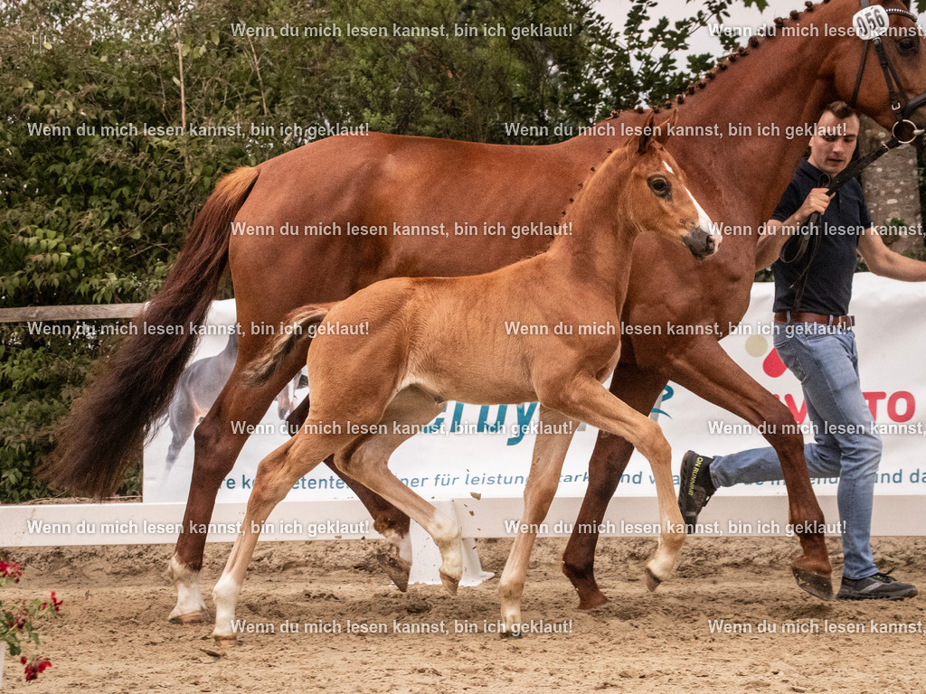 A10I5630 | photographylinaismer - Realisiert mit Pictrs.com