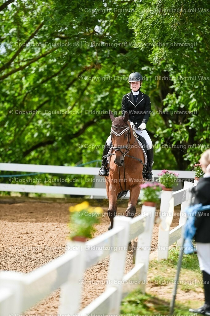 20230716_10-1_Reiter-WB Schritt - Trab - Galopp_0102 | equistock