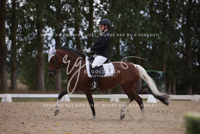 1J2A0887Charlotte Fehr_ Ikon 16_ Kn061_ Wöpkendorf_ Annalena Beier_ Quinn M_ Kn095 | Foto- und Videografie für alles rund ums Pferd. Hochwertige Bilder und Videos vom Spring- und Dressurreiten, Voltigieren & mehr. Jetzt aktuelle Veranstaltungen und Preise im Shop ansehen. - Realisiert mit Pictrs.com