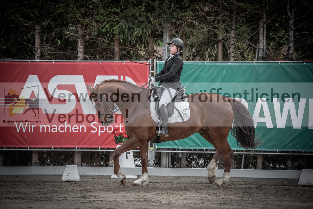 DSC_8897 | equestrian-live-com