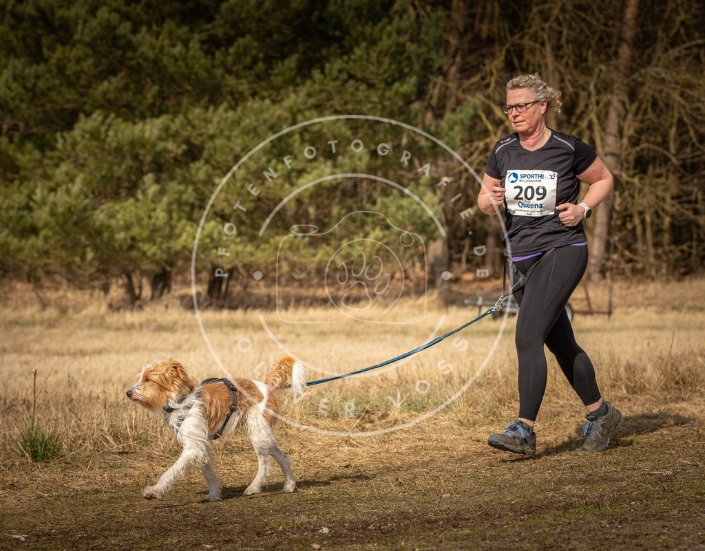 DV3A5560 | Hundefotografie, Tierfotograf, Pfotenfotografie, Fotoshooting Hund, Hunde Portrait, Hundesport, Hundeportraits, Heideshooting, Hunde, Sportfotograf, Hundefotograf, Turnierhundsport, THS,  - Realisiert mit Pictrs.com