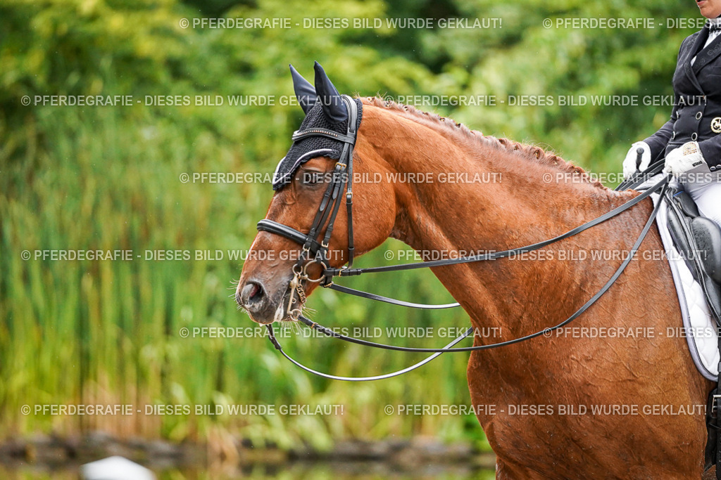 DSC09623 | Pferdegrafie