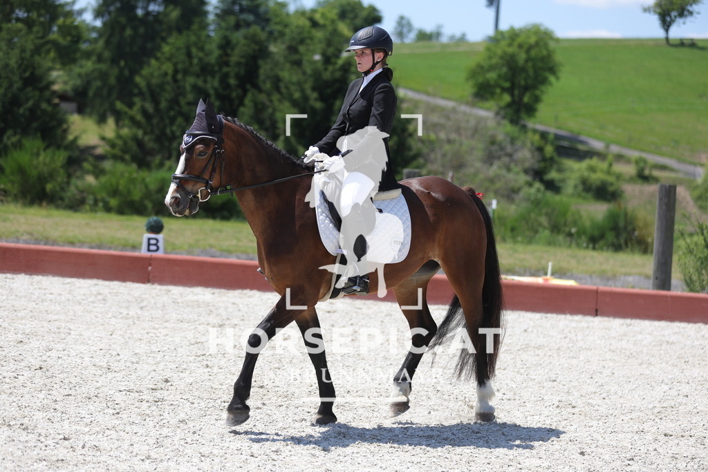 0P6A1723 | Willkommen bei Brunnmayr - Design & Fotografie – Ihrem Spezialisten für Reitturniere und Pferdeveranstaltungen in Oberösterreich, Salzburg und Bayern! Seit über 17 Jahren sind wir leidenschaftlich dabei.