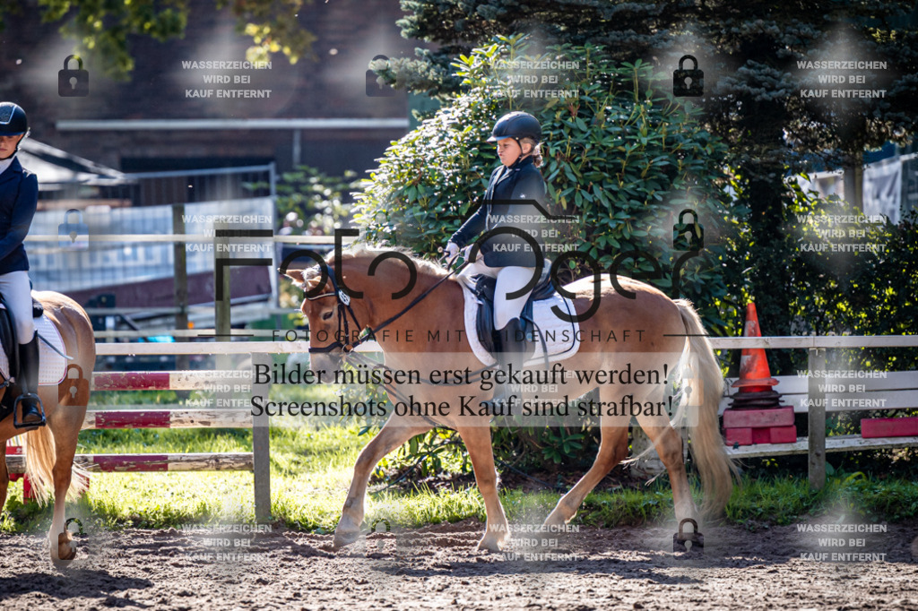 2026-10-Helle-20-4-0010 | Entdecke hochwertige Reitturnierfotos von Foto Oger. Professionell, emotional und authentisch – jetzt Lieblingsmomente im Shop bestellen.Deutschlandweite Turnierfotografie. - Realisiert mit Pictrs.com