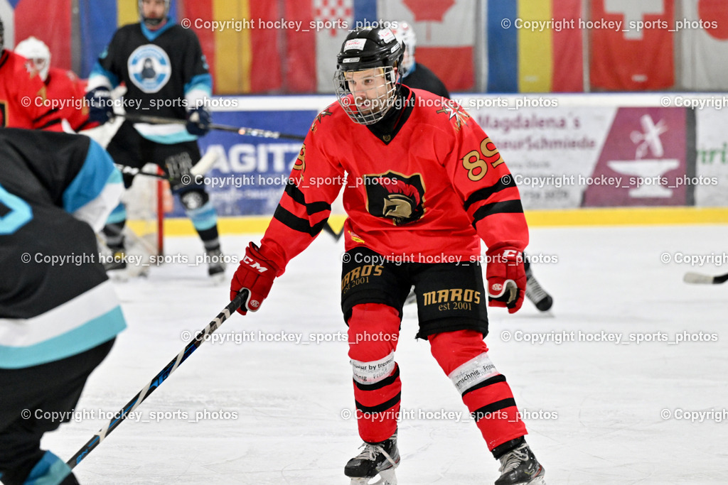 Lendhafen Seelöwen vs. Spartans Althofen | #89 Pirmann Markus Spartans Althofen, Lendhafen Seelöwen vs. Spartans Althofen, Lendhafen Seelöwen vs. Spartans Althofen am 14.02.2025 in Ferlach (HTC Eishalle Ferlach), Austria, (Photo by Bernd Stefan)