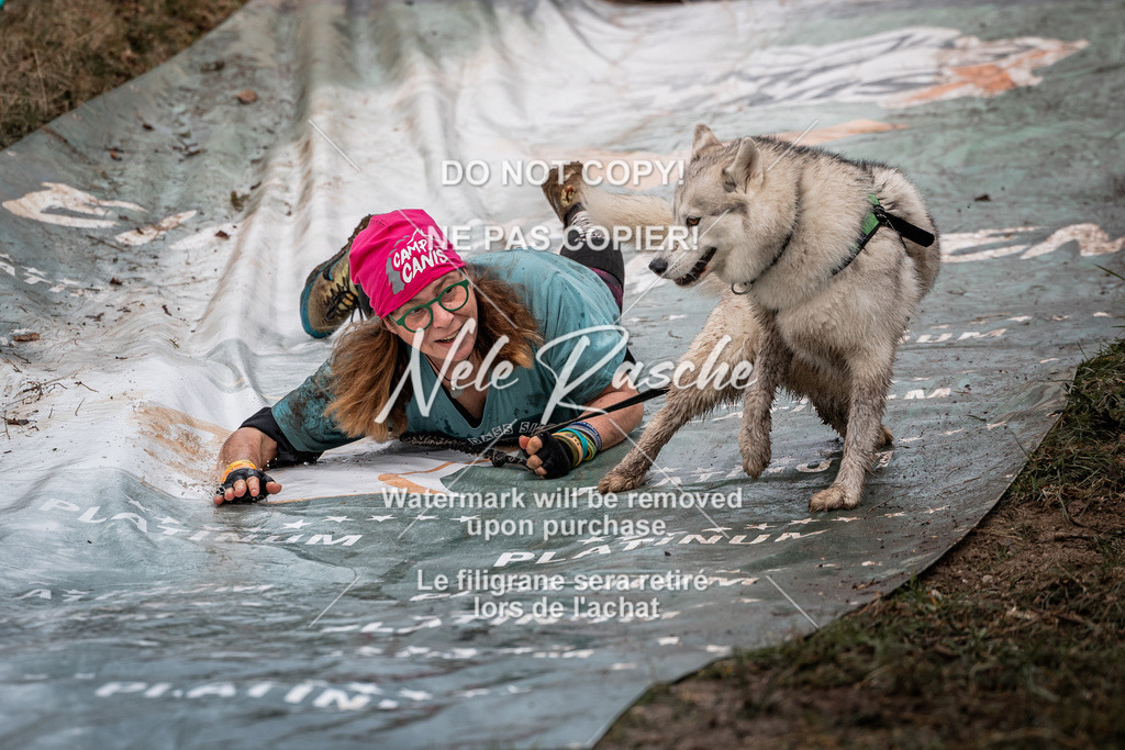 nelerasche_1330-1400_42 | nelerasche