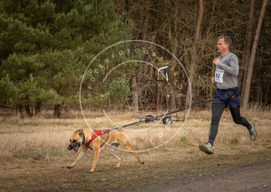 DV3A4134 | Hundefotografie, Tierfotograf, Pfotenfotografie, Fotoshooting Hund, Hunde Portrait, Hundesport, Hundeportraits, Heideshooting, Hunde, Sportfotograf, Hundefotograf, Turnierhundsport, THS,  - Realisiert mit Pictrs.com