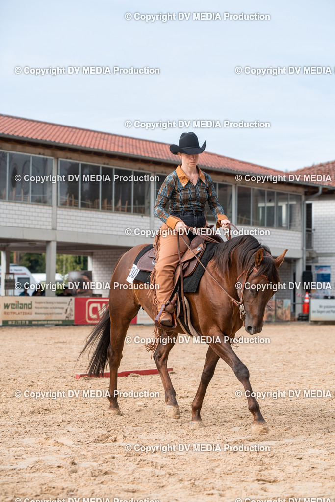 EWP_5680 | dv-media-shop - Realisiert mit Pictrs.com