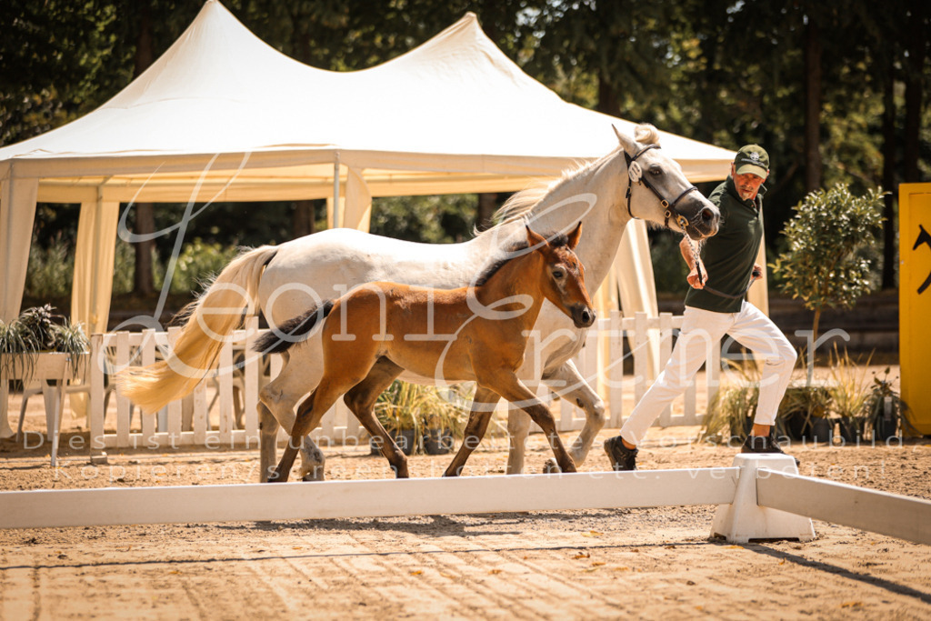 02.DoSR00159 | Leoni Ertmer Photography - Realisiert mit Pictrs.com