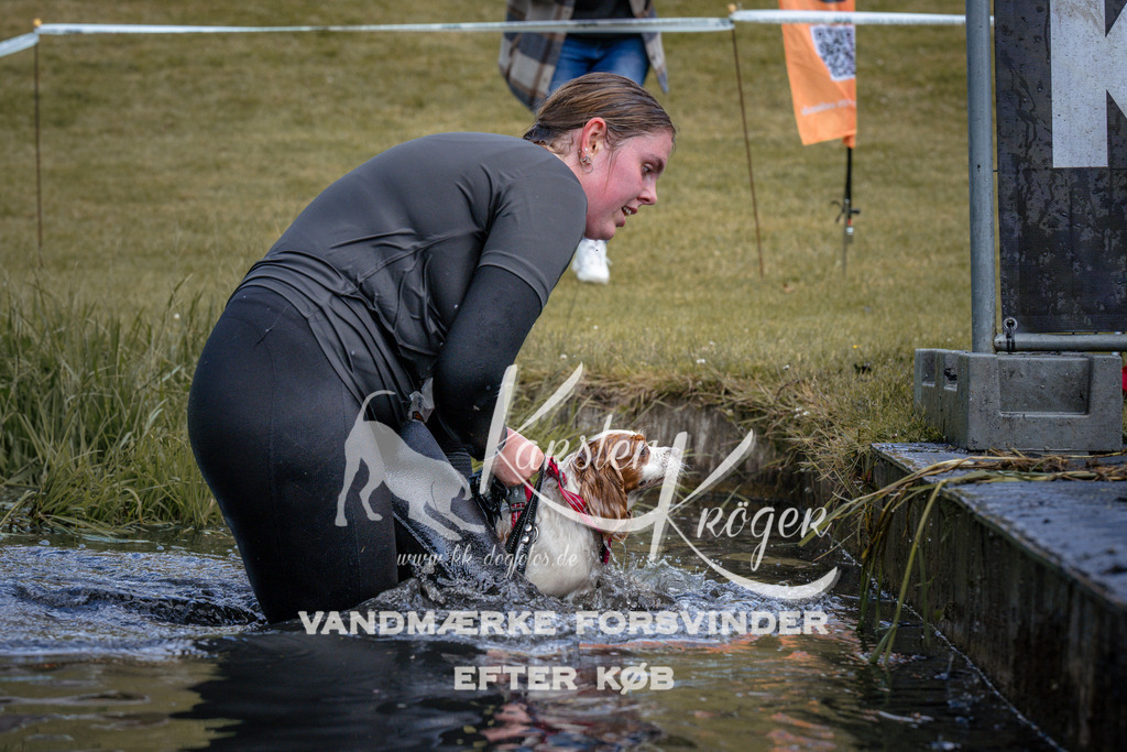 _ZZ916710916 | kk-dogfotos