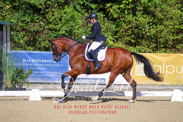 DKP40790 | Turniersportfotografie; Pferdefotografie; Dressurfotografie