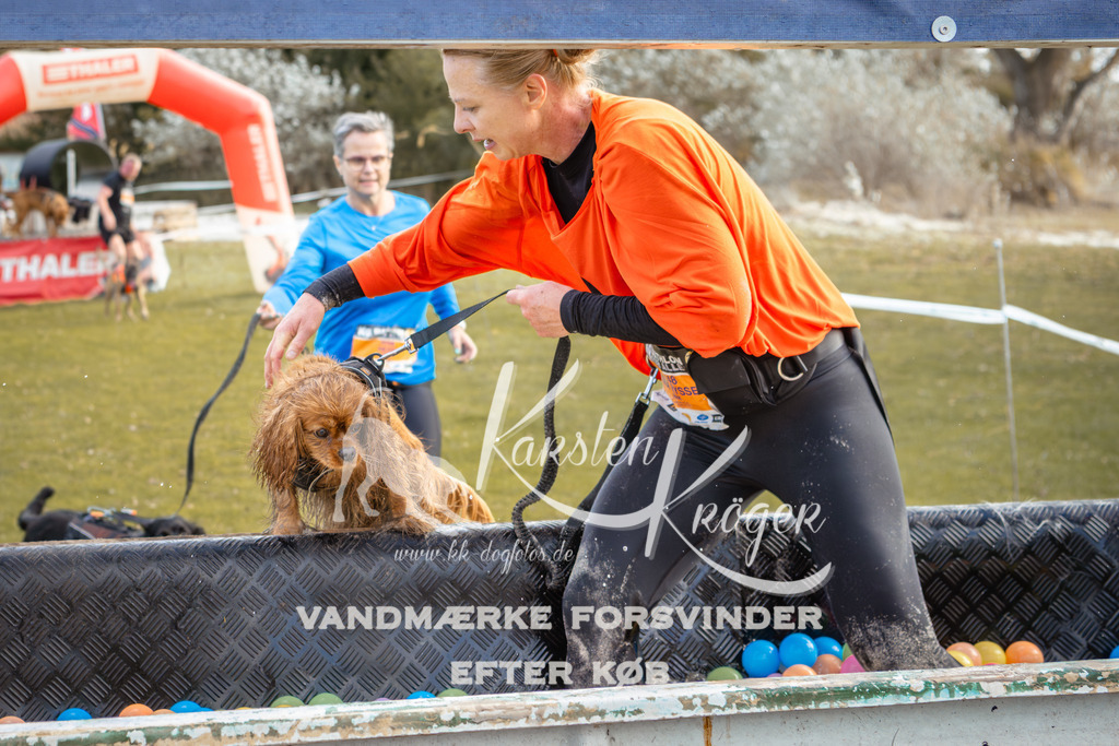 1414_ZZ93971-2 | kk-dogfotos