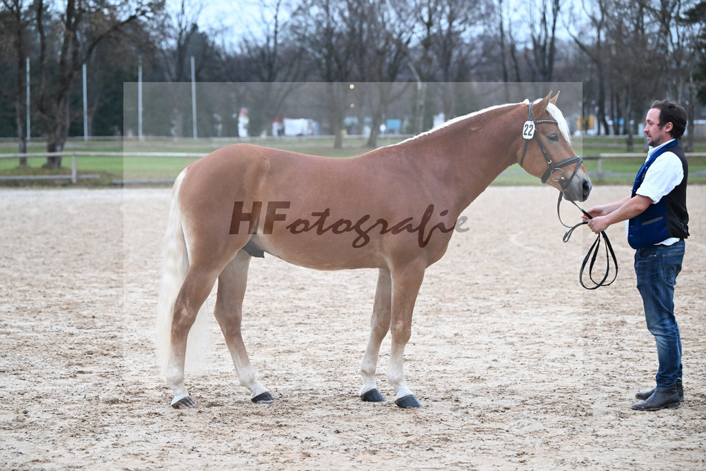 Kat-Nr. 22 Niolando v. Nio_Kirchberger_48252011 | hf-fotografie - Realisiert mit Pictrs.com