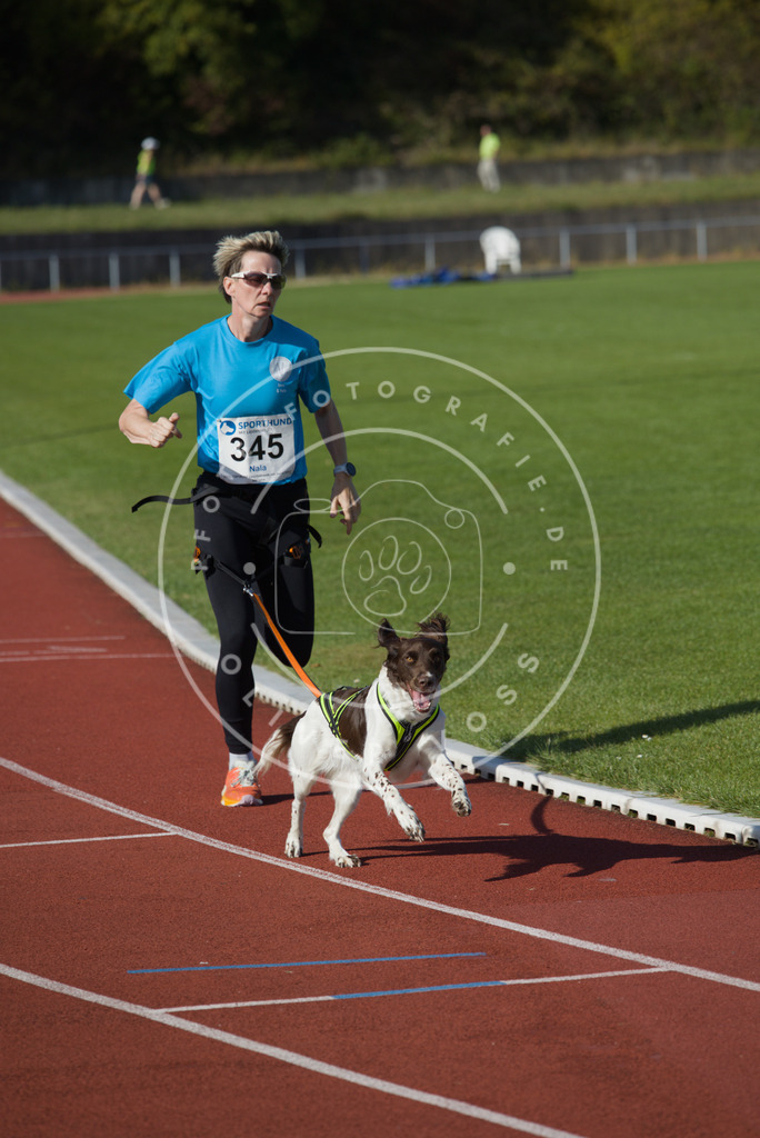 0L8A9146 | Hundefotografie, Tierfotograf, Pfotenfotografie, Fotoshooting Hund, Hunde Portrait, Hundesport, Hundeportraits, Heideshooting, Hunde, Sportfotograf, Hundefotograf, Turnierhundsport, THS,  - Realisiert mit Pictrs.com