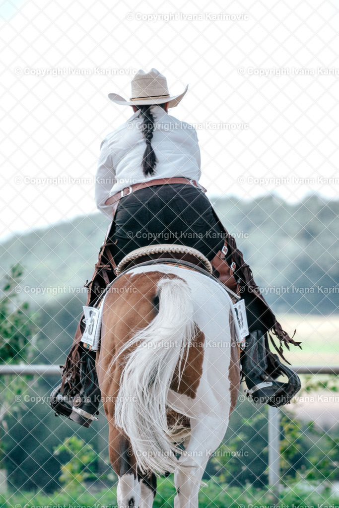 DSC08231 | ikphotography - Realisiert mit Pictrs.com