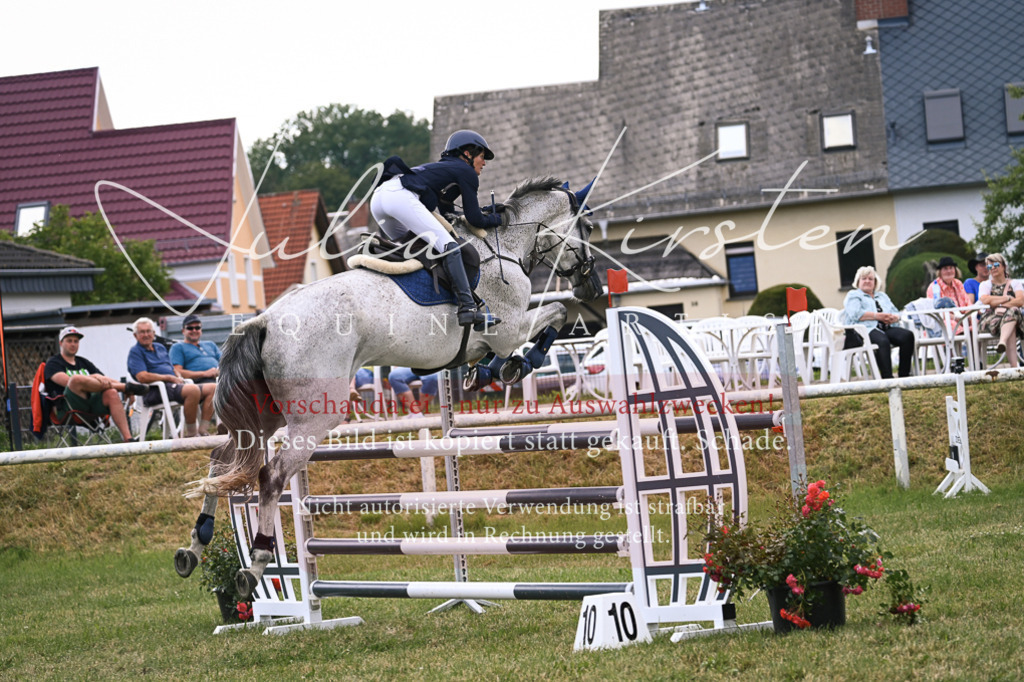 DSC_0960 | Pferde- und Turnierfotografie in Westsachsen. Pferdeportraits, Auftragszeichnungen und intuitive Kunst.