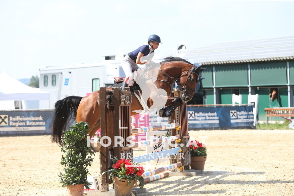 DL2Q1684 | Willkommen bei Brunnmayr - Design & Fotografie – Ihrem Spezialisten für Reitturniere und Pferdeveranstaltungen in Oberösterreich, Salzburg und Bayern! Seit über 17 Jahren sind wir leidenschaftlich dabei.