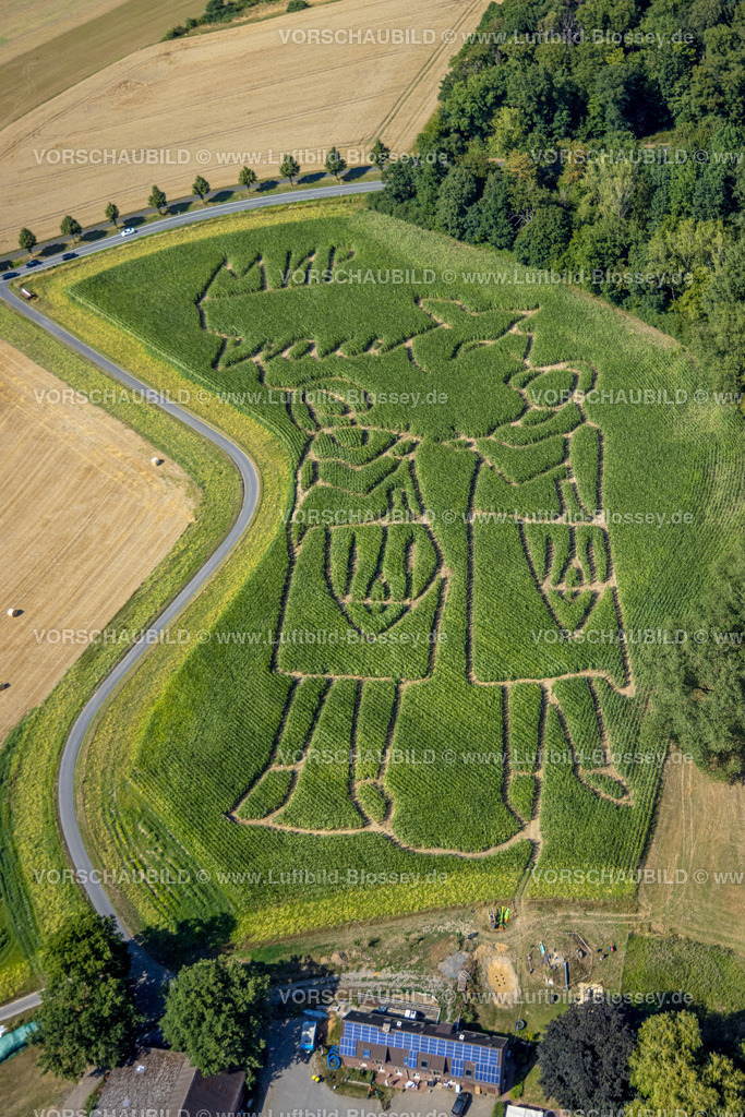 Selm220801050BauerLuenemannMaislabyrinthPeace | Luftbild des Maislabyrinth auf dem Acker von Bauer Benedikt Lünemann in Cappenberg NRW, Thema ist der Krieg in der Ukraine. Die Worte MIR und PEACE und Friede steehen als Botschaft im Maisfeld, Cappenberg bei Lünen , Ruhrgebiet Deutschland