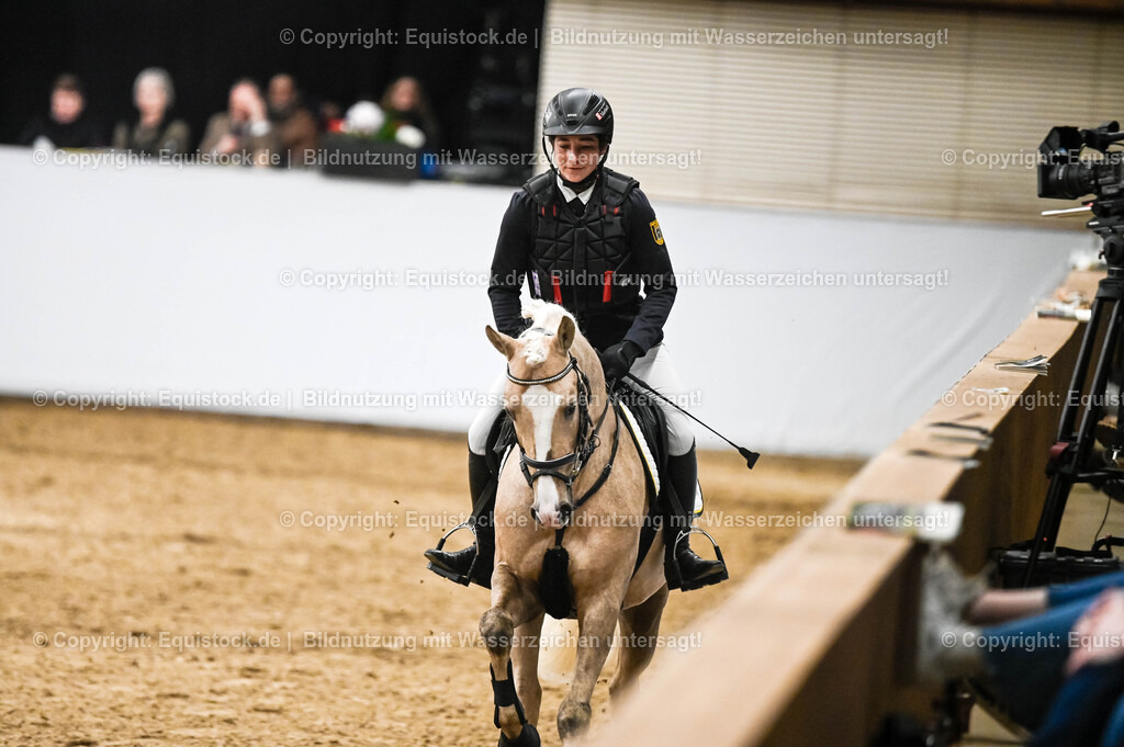 20260307_Hengstvorstellung-Marbach_0395 | equistock