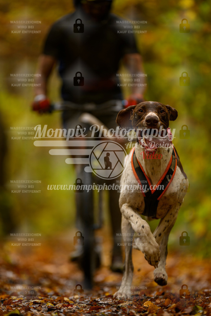 MompixPhotography_CD7S_DI_DS-6 | mompixphotography