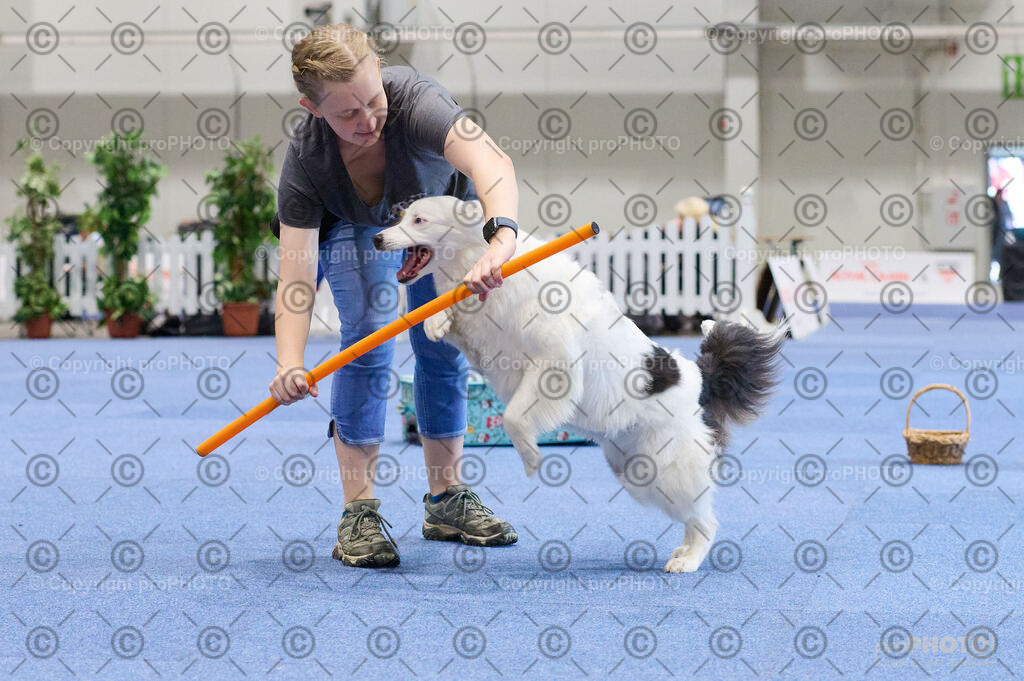 202406_ÖKV-IHA-Tulln24_DSC_4515 | proPHOTO - Realisiert mit Pictrs.com