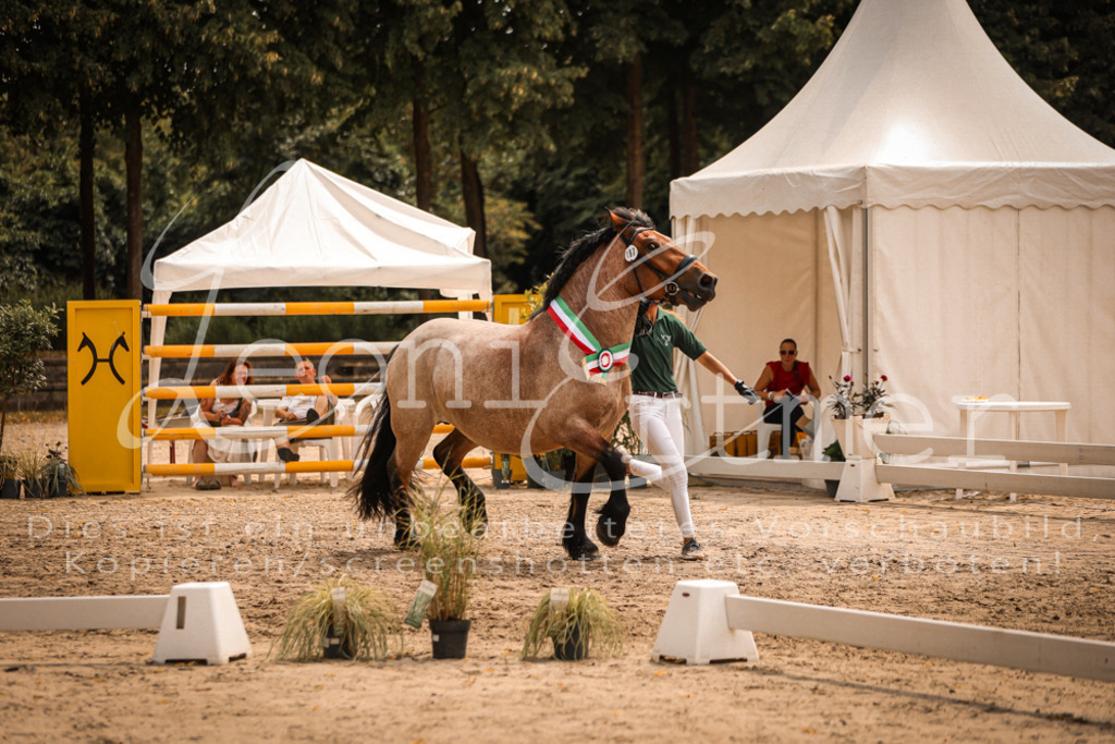 SaSieger00073 | Leoni Ertmer Photography - Realisiert mit Pictrs.com