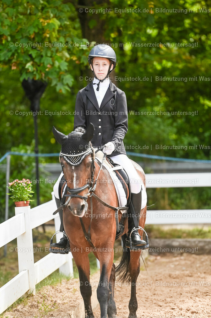 20230716_10-2_Reiter-WB Schritt - Trab - Galopp_0193 | equistock