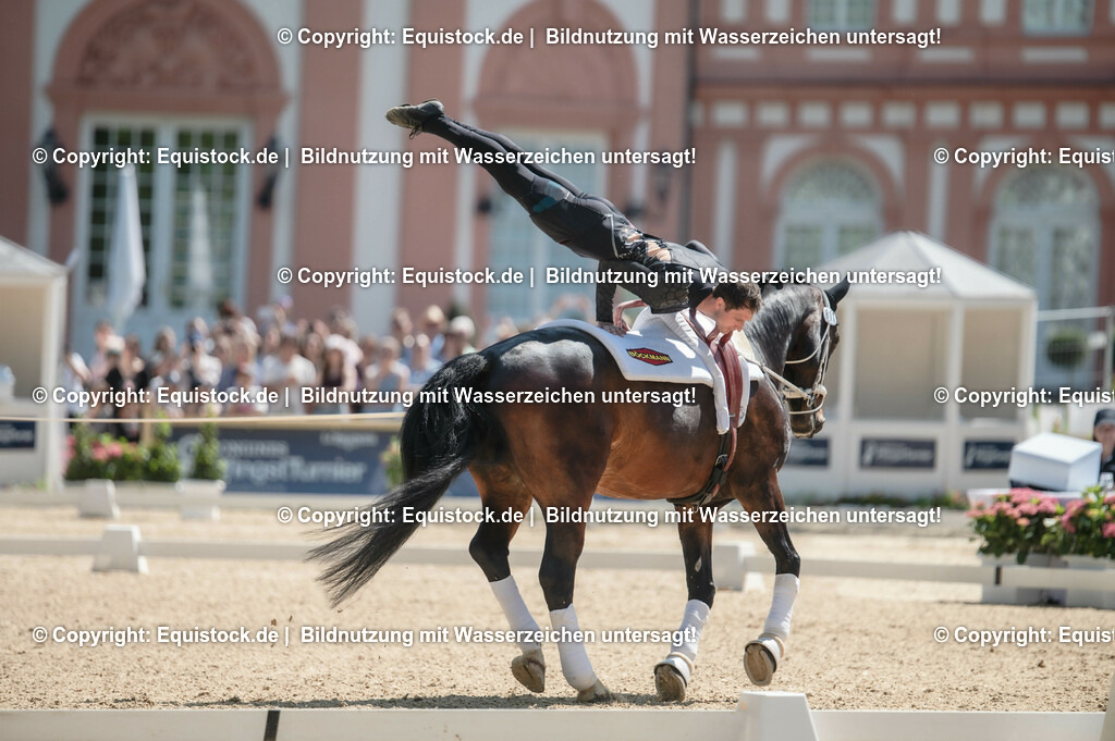 20230528_Voltigieren_NASPA_0124 | equistock