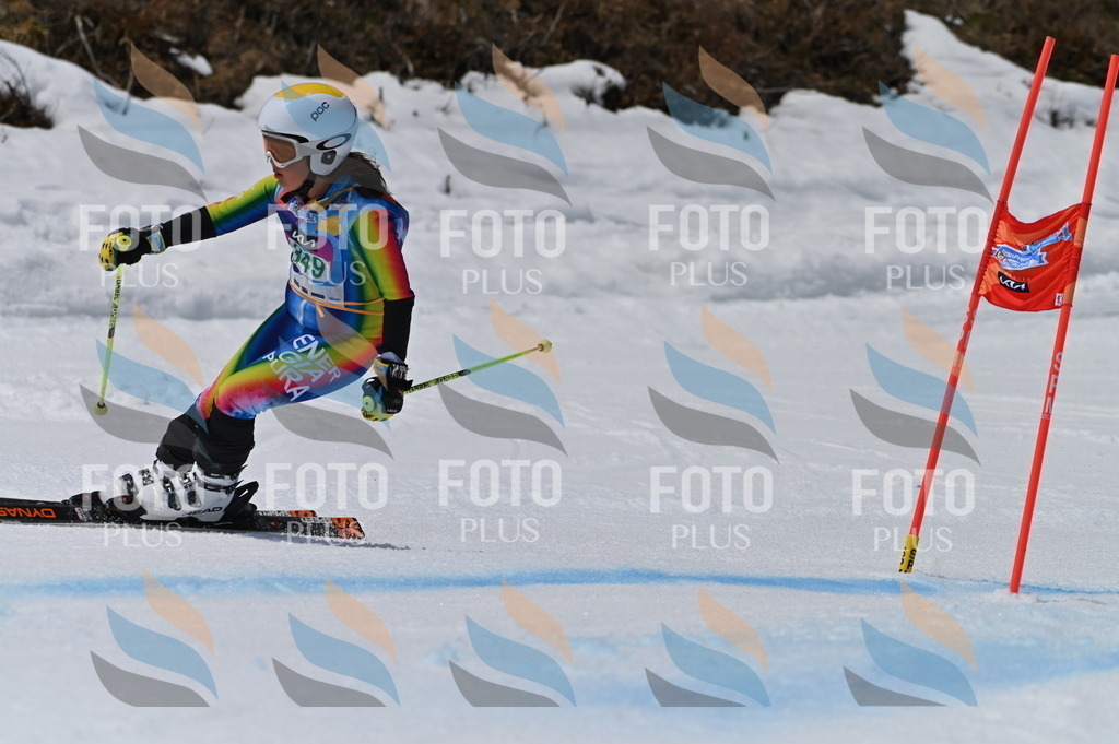 BGV_6880 | holidayphoto