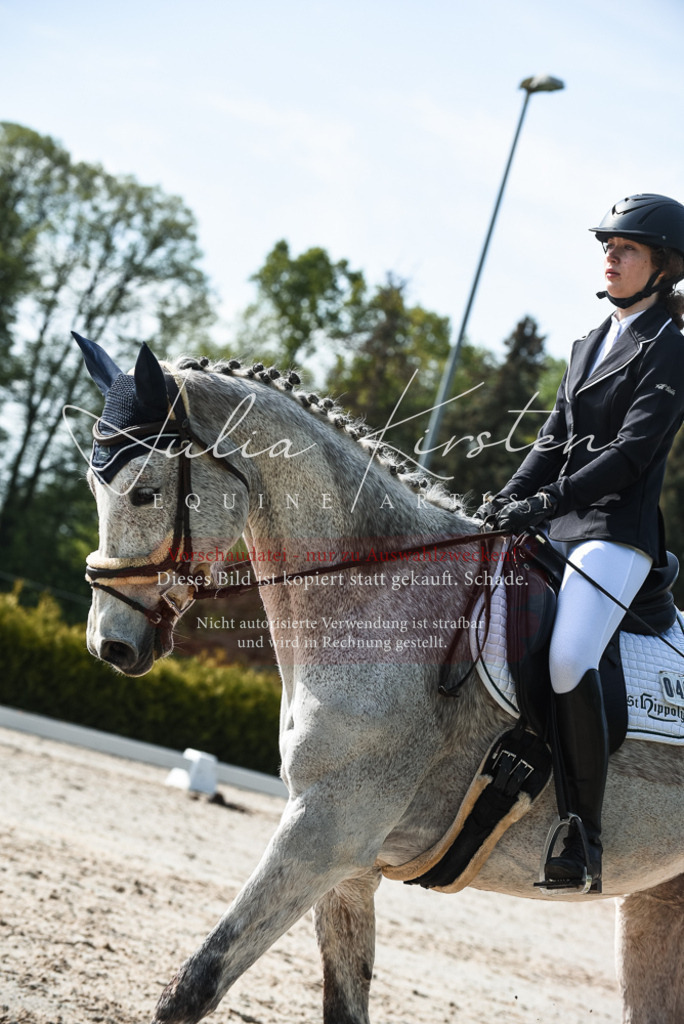 20230518_JK-Röhrsdorf-09-1137 | Pferde- und Turnierfotografie in Westsachsen. Pferdeportraits, Auftragszeichnungen und intuitive Kunst.