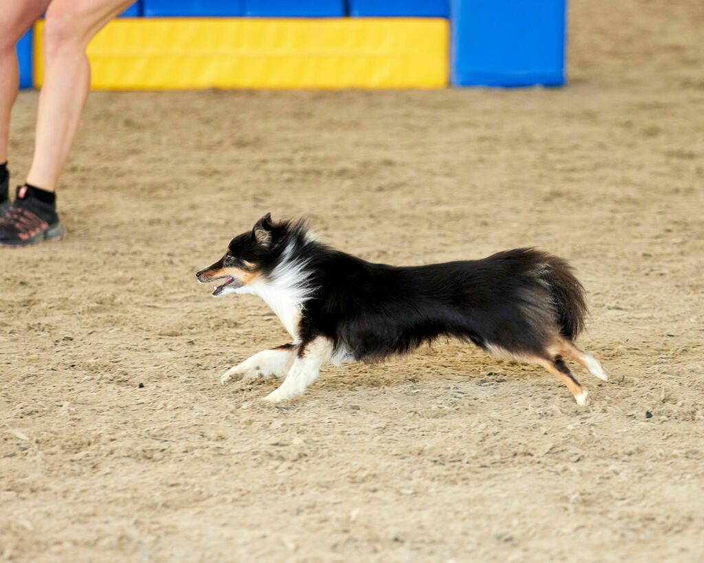 580B0109 | Peter Fridle Fotografie - Realisiert mit Pictrs.com