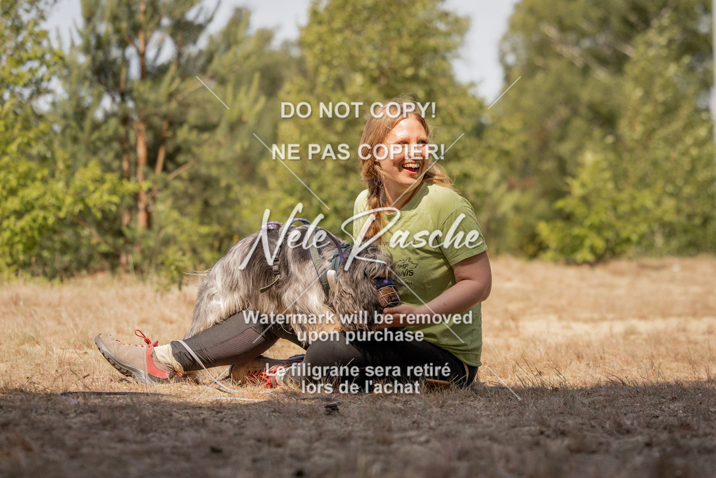 nelerasche_soDD2_373 | nelerasche